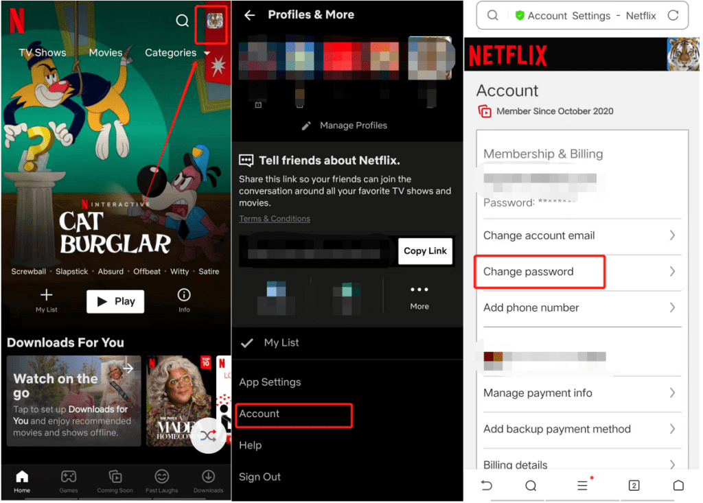 reset netflix account's password
