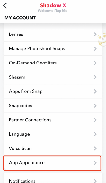 app appearance